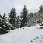 Haus Am Scheibenfelsen *