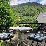 公寓 Haus Am Scheibenfelsen 圣布拉辛