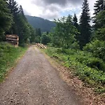 Haus Am Scheibenfelsen * 圣布拉辛