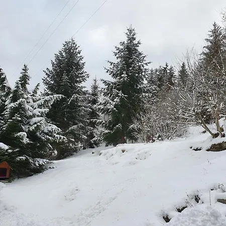 Haus Am Scheibenfelsen *