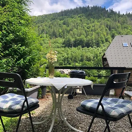 公寓 Haus Am Scheibenfelsen 圣布拉辛
