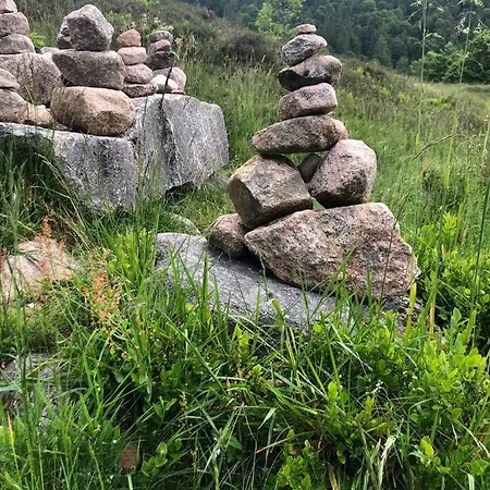 Διαμέρισμα Haus Am Scheibenfelsen St. Blasien