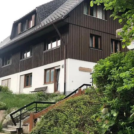 Haus Am Scheibenfelsen Διαμέρισμα St. Blasien