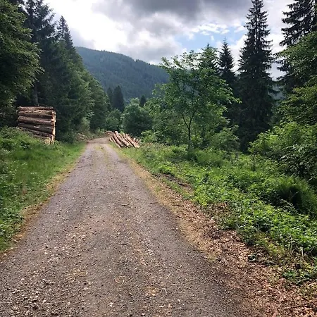Haus Am Scheibenfelsen * St. Blasien