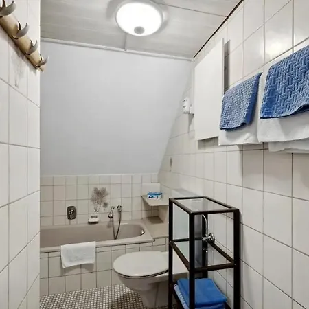 Haus Am Scheibenfelsen Appartement St. Blasien