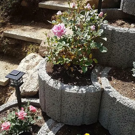 Haus Am Scheibenfelsen سانت بلاسين