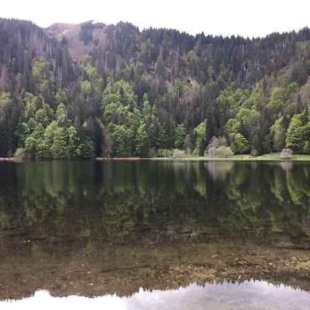Haus Am Scheibenfelsen Appartement *